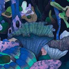 Thumbnail for season 5 episode 1