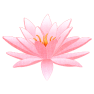 japanese wooden block lotus flower